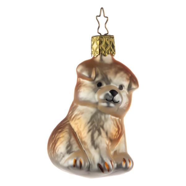 Hundewelpe