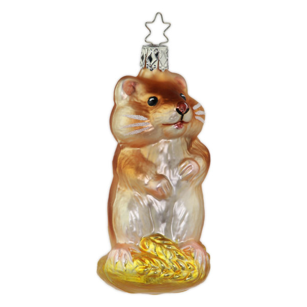 Goldhamster