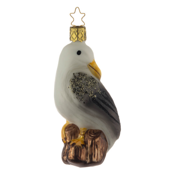 Möwe