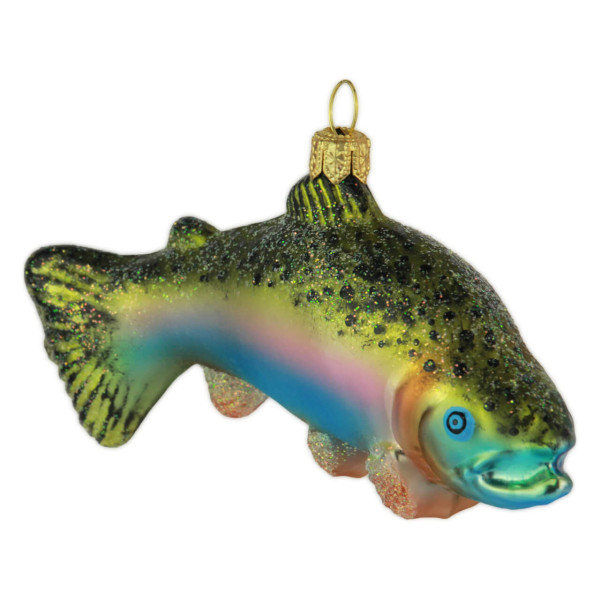 Regenbogenforelle