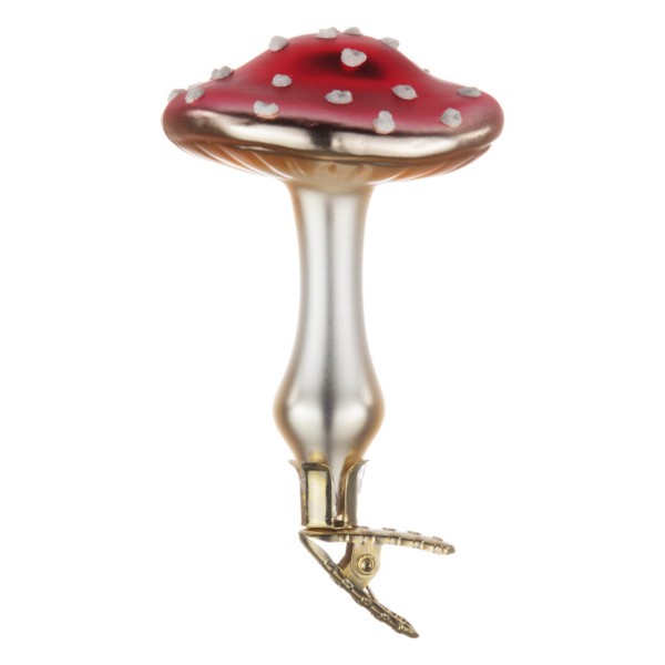 Fliegenpilz
