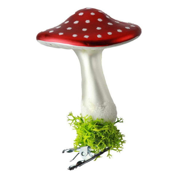 flacher Fliegenpilz