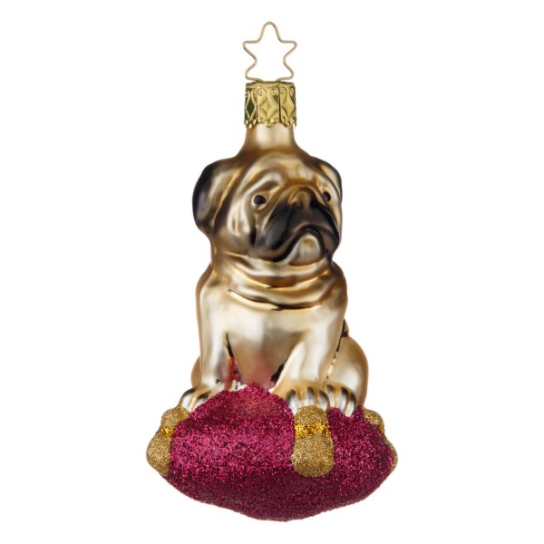 Mops auf Kissen