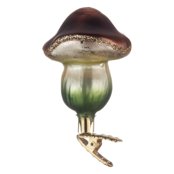 Maronenpilz